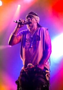 asian dub festival de la paille 2024 crédit photo alice gand les scènes sauvages