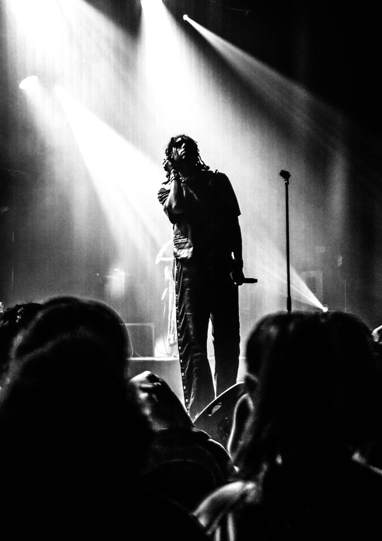 youv dee boeuf sur le toit crédit photo alice gand les scènes sauvages